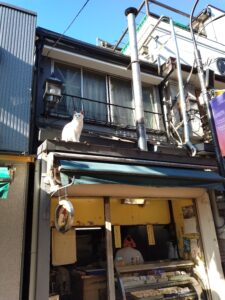 屋根の上にいる猫の置物