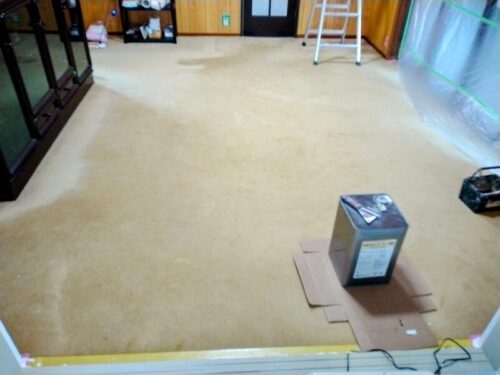 リフォーム前のリビングの絨毯