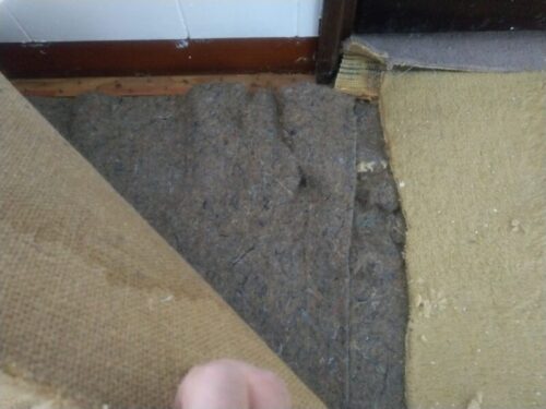 リビングのカーペットを剥がしているところ