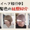 グレイヘア移行中髪色の変化とショートカットにした理由