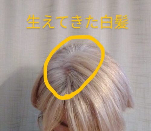 生えてきた白髪