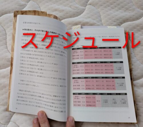 中2レベルの100例文で英語がペラペラになる本の中身