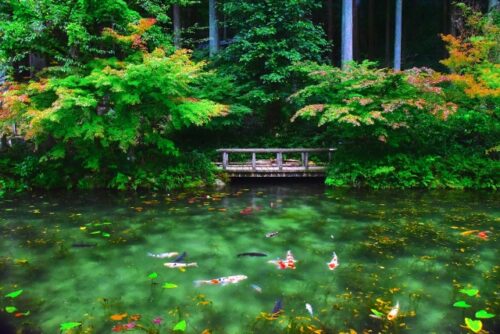 岐阜県　モネの池