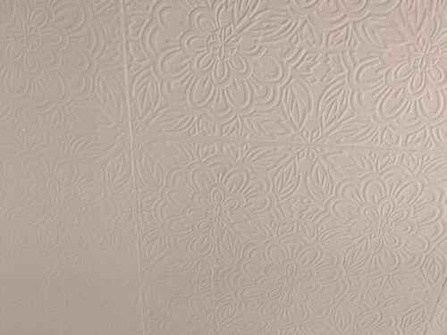 カンペハピオの白で塗ったリビング天井