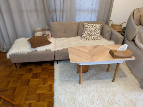 新しく買い替えたソファー