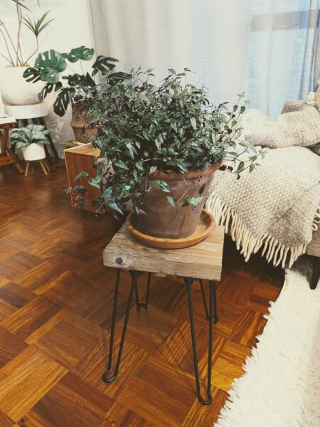 観葉植物を置いた自作サイドテーブルの